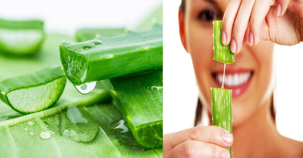 Aloevera vijayaprabha news