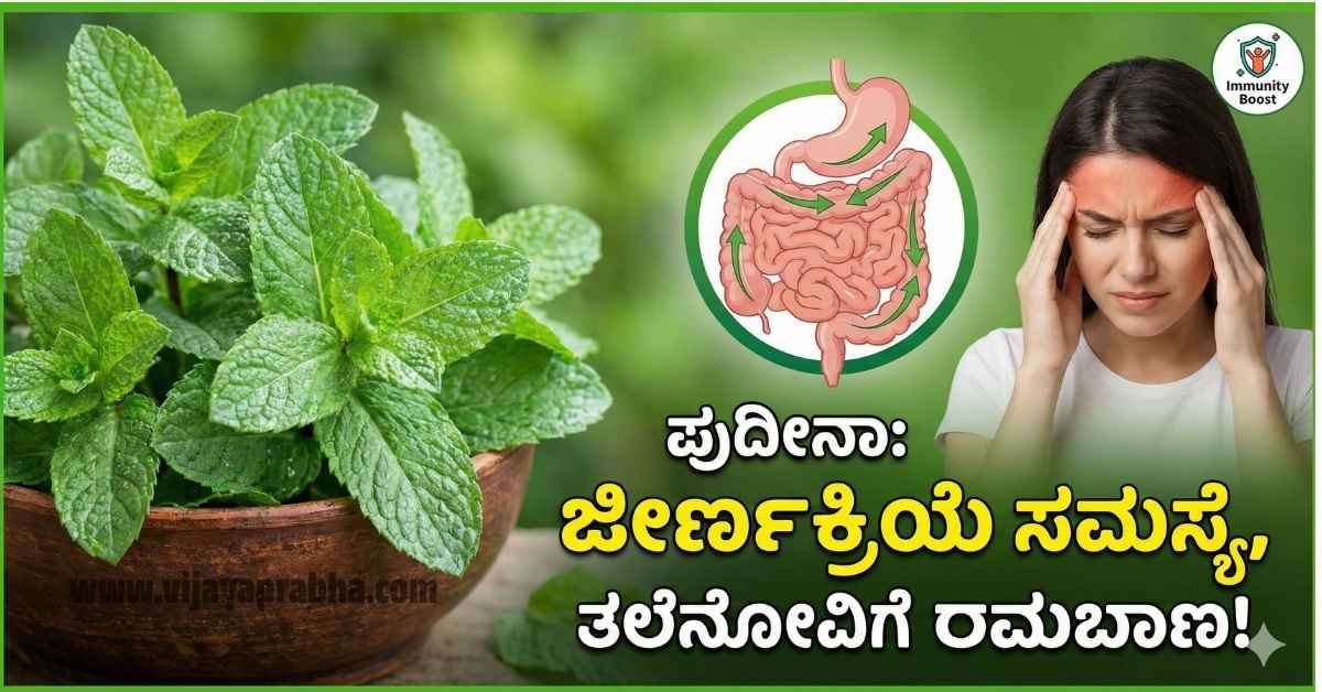 Fresh green mint leaves in a bowl, concept of healthy digestion and immunity.