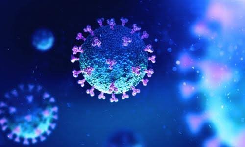 coronavirus-update