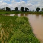 davanagere heavy rain vijayaprabha