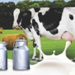 milk-producers-vijayaprabha-news