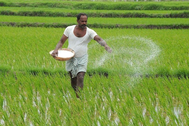 fertilizers-vijayaprabha-news