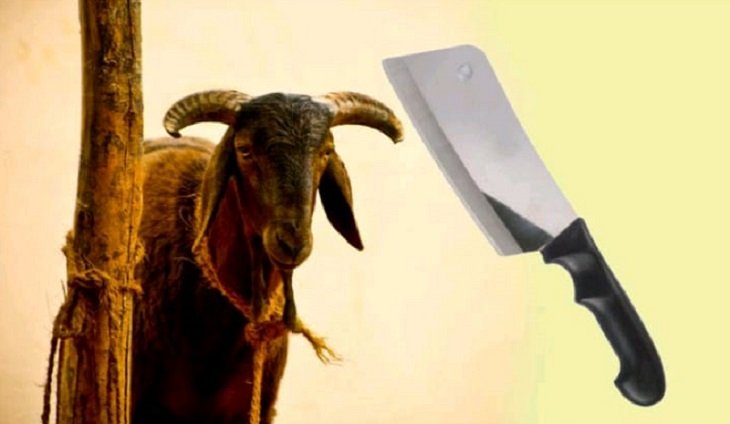 saheep vijayaprabha news