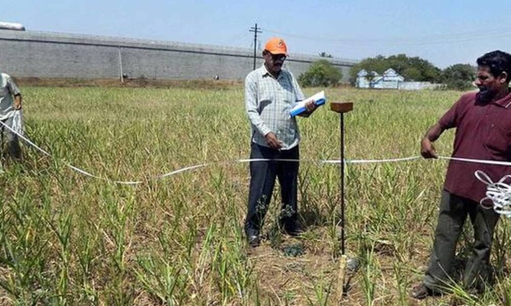 land surveyor vijayaprabha news