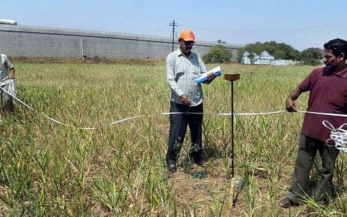 land surveyor vijayaprabha news