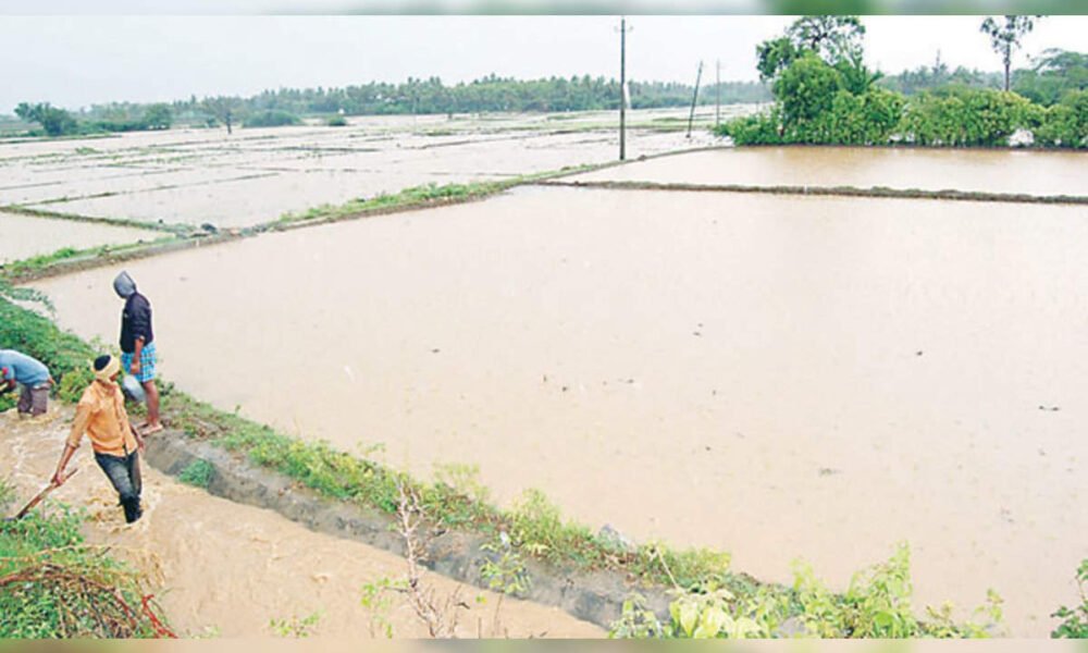 rain damage vijayaprabha news