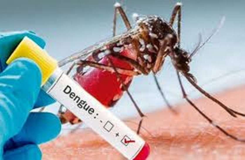 dengue vijayaprabha news
