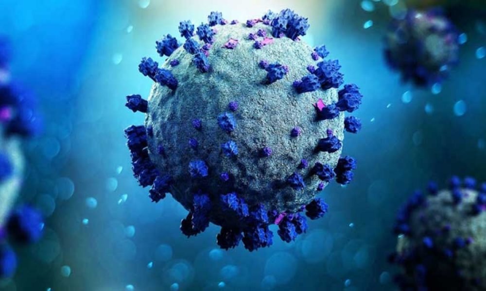 Omicron vijayaprabha news