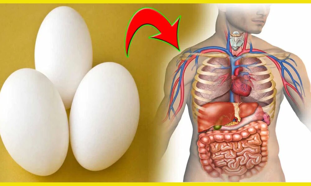 Egg vijayaprabha news