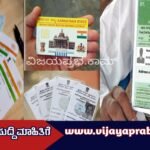 Aadhaar Card, Voter ID, Driving License, Ration Card
