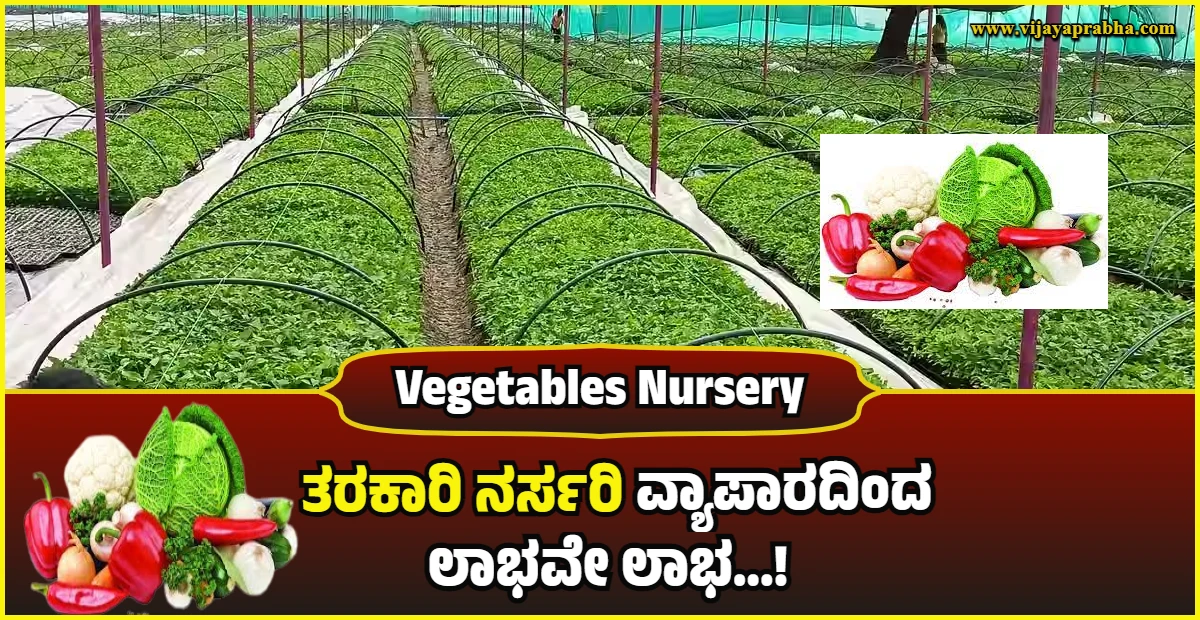 vegetable nursery
