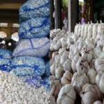 garlic price vijayaprabha news