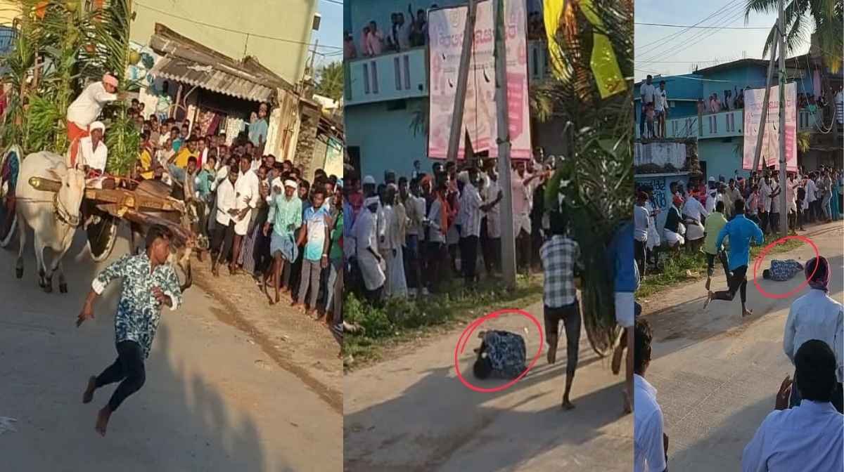 Araseikere Dussehra festival 2