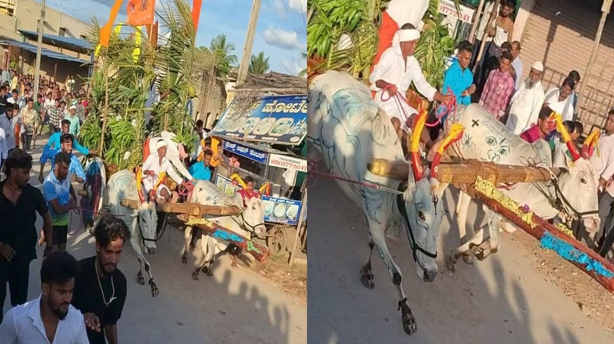 Araseikere Dussehra festival