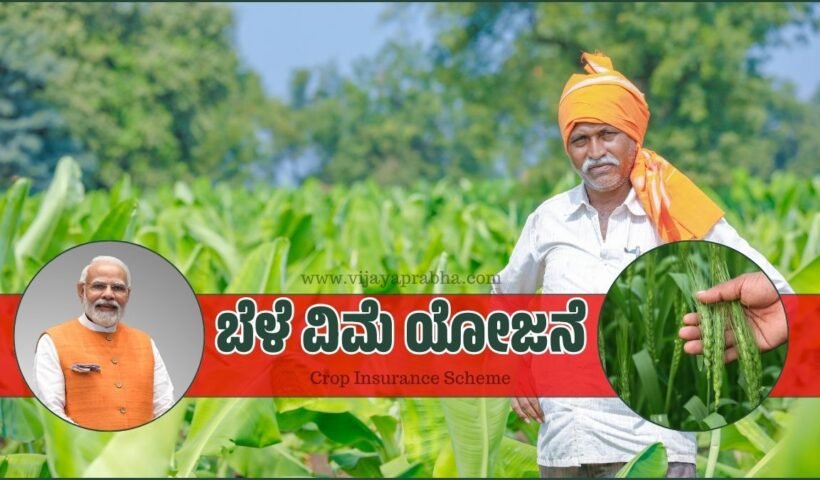 Crop Insurance Scheme