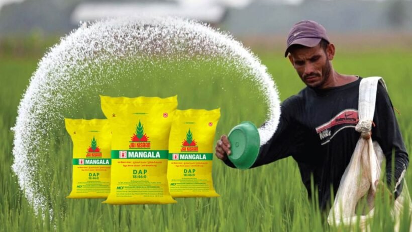 DAP fertilizer