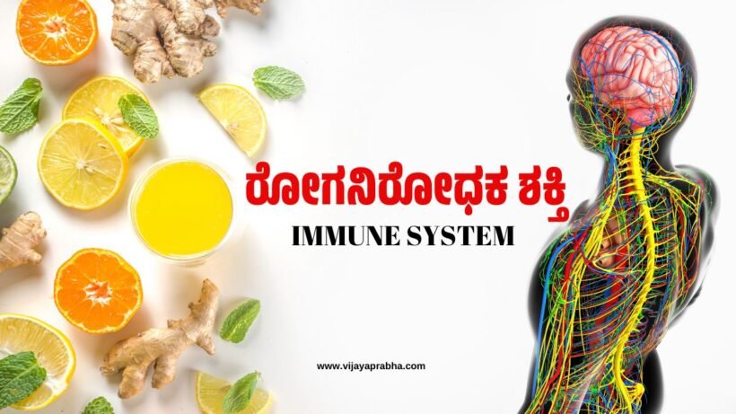 Immune System