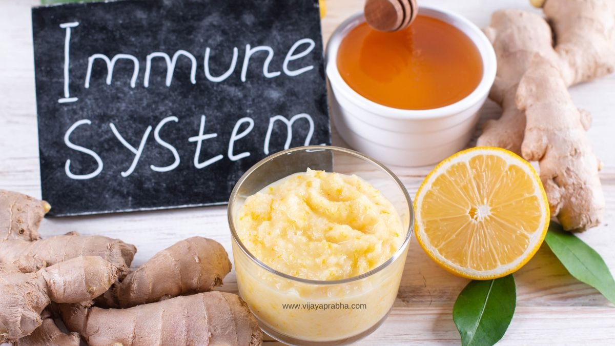 Immune System