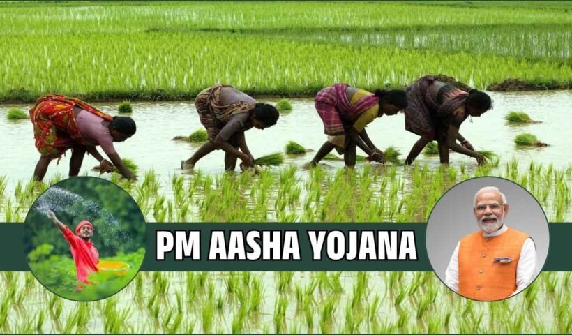 PM-AASHA YOJANA