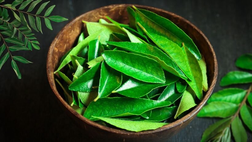 Curry leaves vijayaprabha news