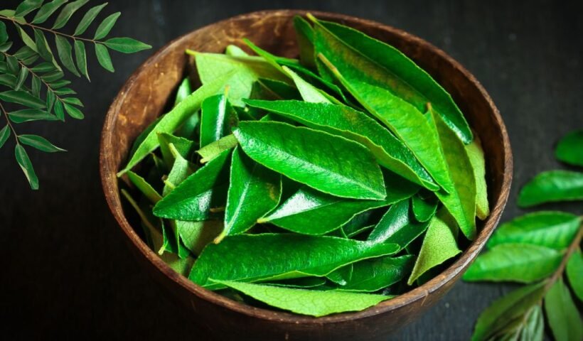 Curry leaves vijayaprabha news