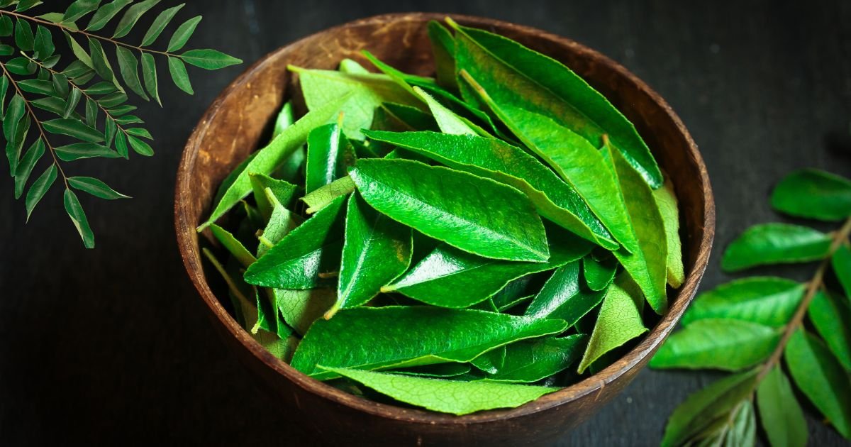 Curry leaves vijayaprabha news