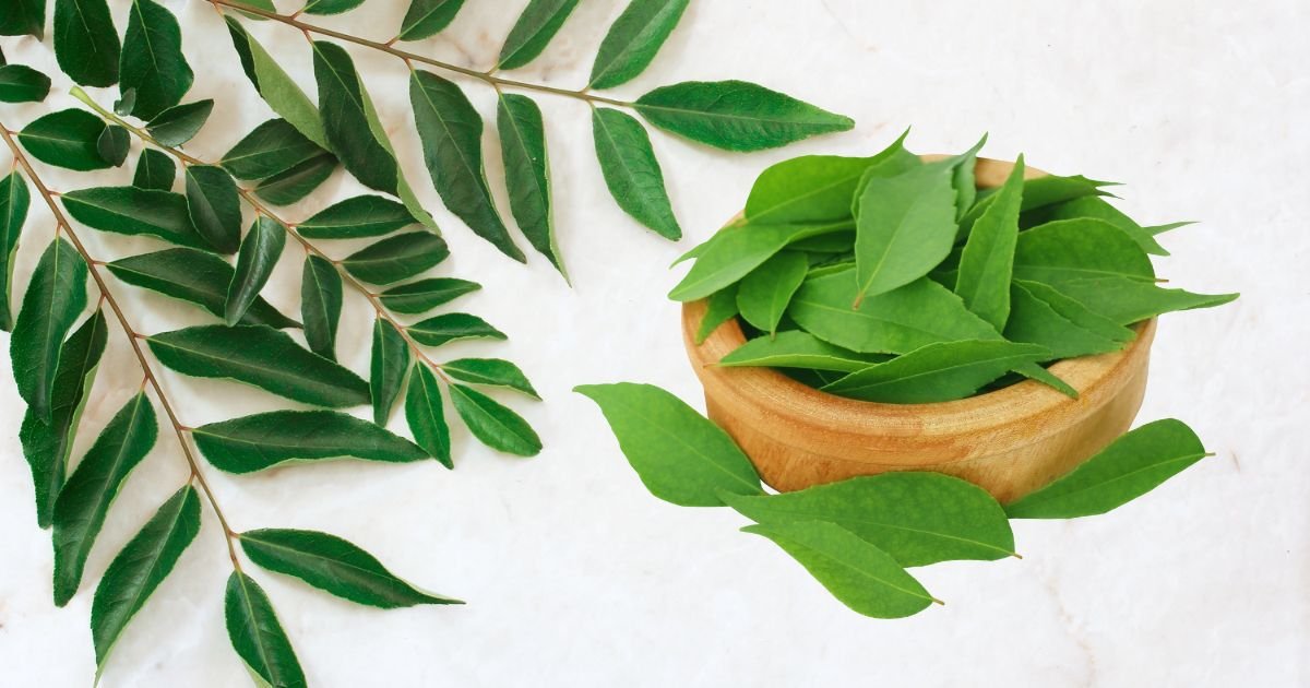 Curry leaves