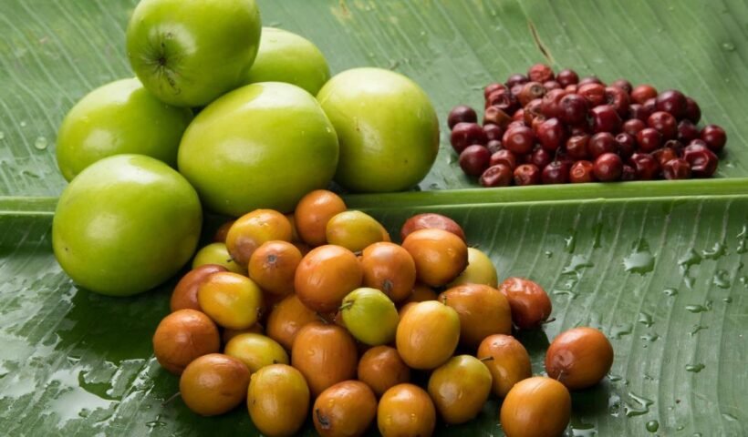Jujube fruit