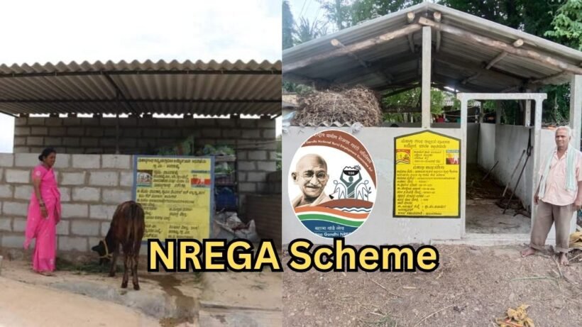 NREGA scheme