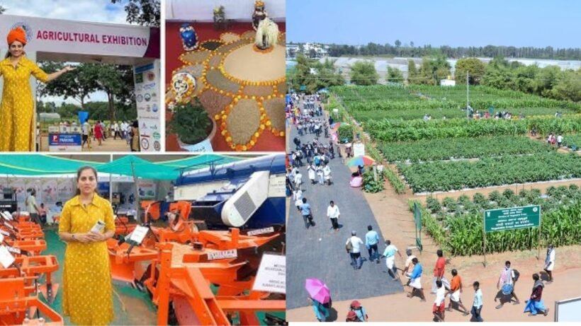 Agriculture fair