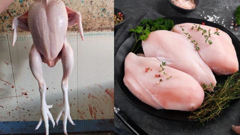 Skin or without skin chicken