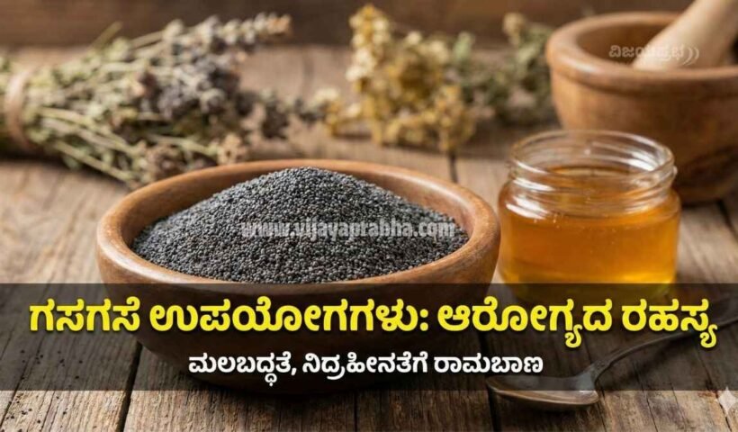 "Health Benefits of Poppy Seeds (Gasagase) in Kannada - Natural Remedy for Constipation and Insomnia Thumbnail"