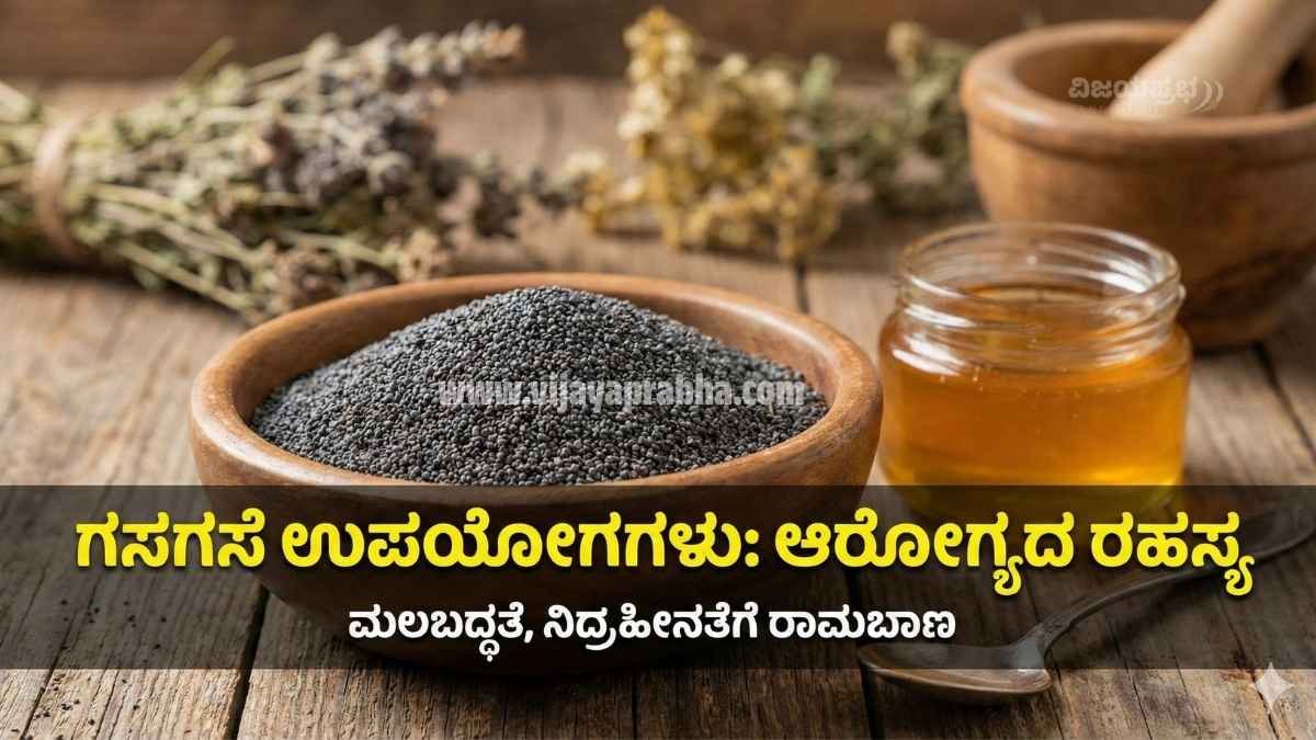 "Health Benefits of Poppy Seeds (Gasagase) in Kannada - Natural Remedy for Constipation and Insomnia Thumbnail"