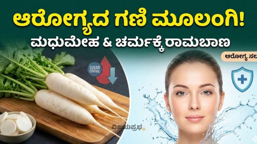 "Health benefits of Radish Moolangi for Diabetes and Skin care in Kannada"