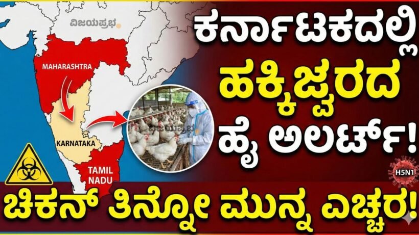 "Bird Flu High Alert in Karnataka due to H5N1 outbreak in Maharashtra and Tamil Nadu - Chicken consumption safety warning and symptoms thumbnail