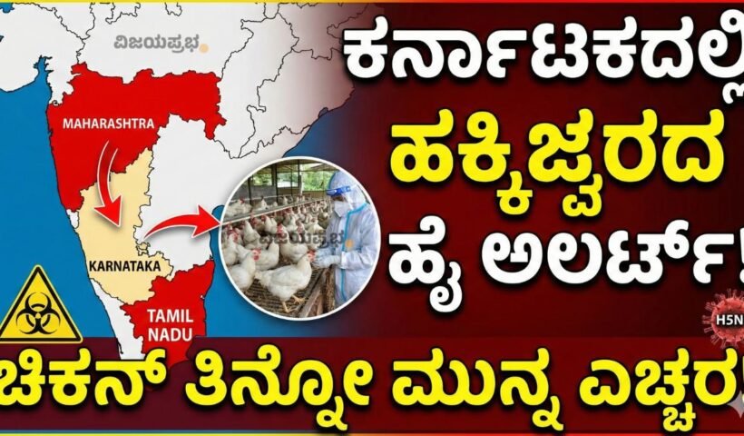 "Bird Flu High Alert in Karnataka due to H5N1 outbreak in Maharashtra and Tamil Nadu - Chicken consumption safety warning and symptoms thumbnail