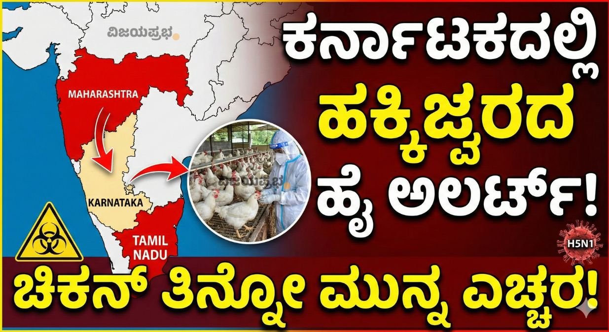 "Bird Flu High Alert in Karnataka due to H5N1 outbreak in Maharashtra and Tamil Nadu - Chicken consumption safety warning and symptoms thumbnail