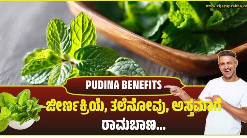 Fresh mint (Pudina) leaves in a bowl next to graphics of human digestive system and a woman with headache. Kannada text reads 'Pudina: Panacea for Digestive Problems, Headache!'.