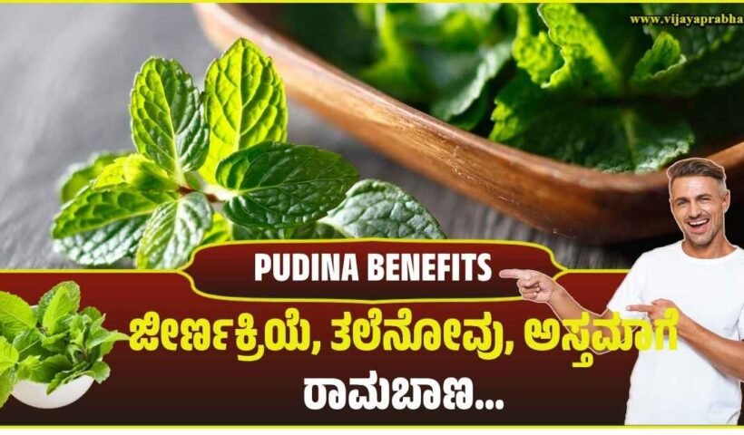Fresh mint (Pudina) leaves in a bowl next to graphics of human digestive system and a woman with headache. Kannada text reads 'Pudina: Panacea for Digestive Problems, Headache!'.