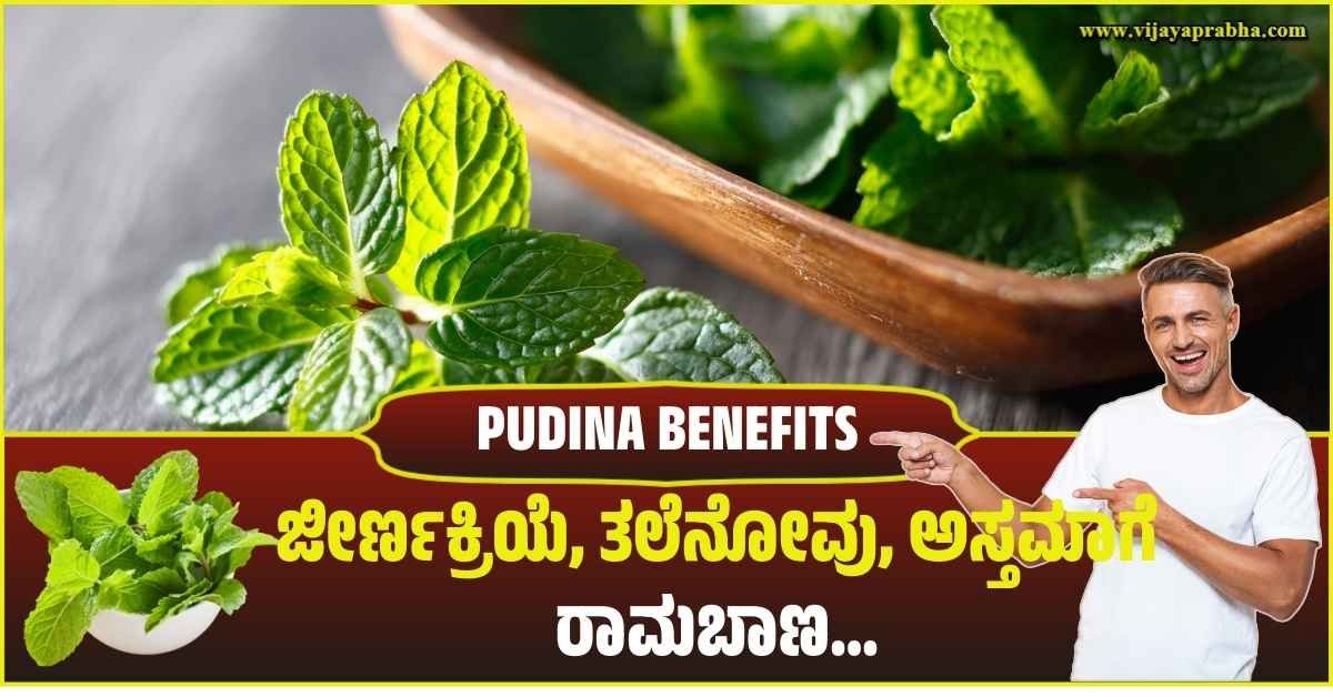 Fresh mint (Pudina) leaves in a bowl next to graphics of human digestive system and a woman with headache. Kannada text reads 'Pudina: Panacea for Digestive Problems, Headache!'.
